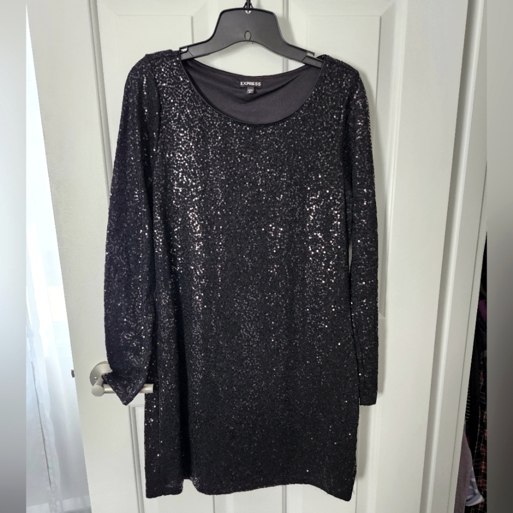 Express Black Sequin Dress